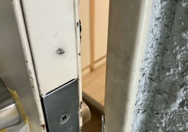 関連記事画像