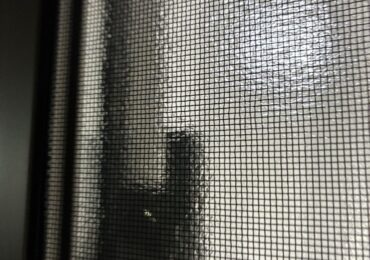 関連記事画像